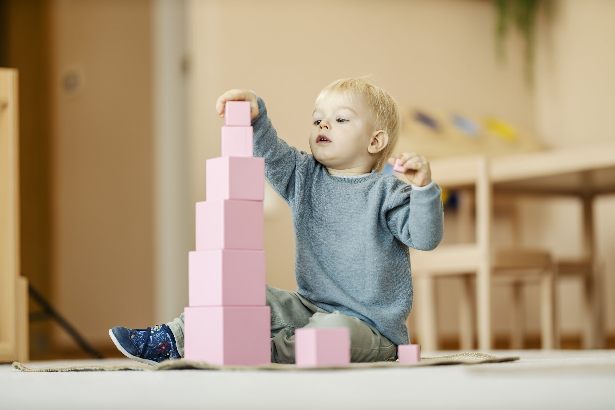 Montessori Schools